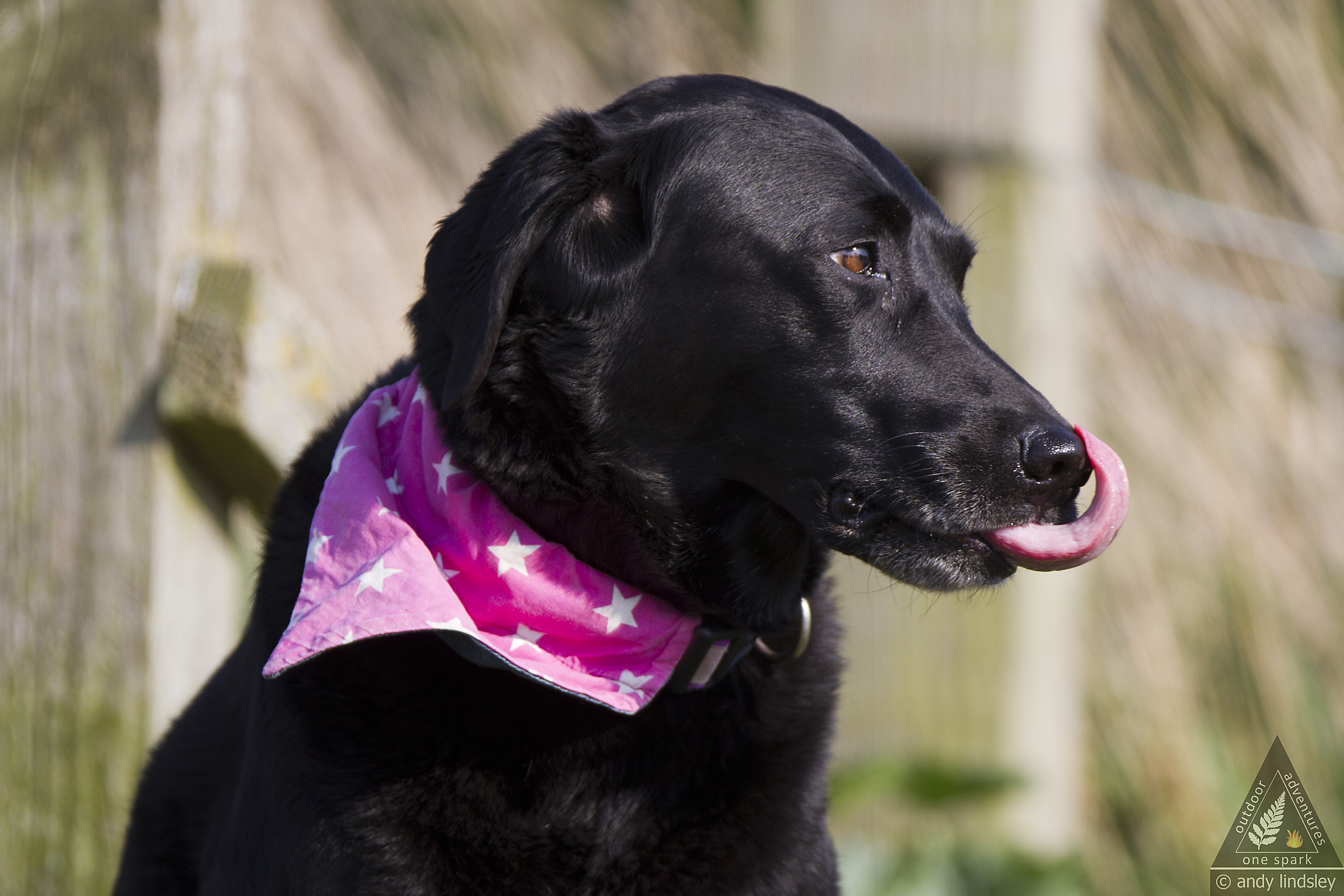 Lucy-Winteringham-080420(1)