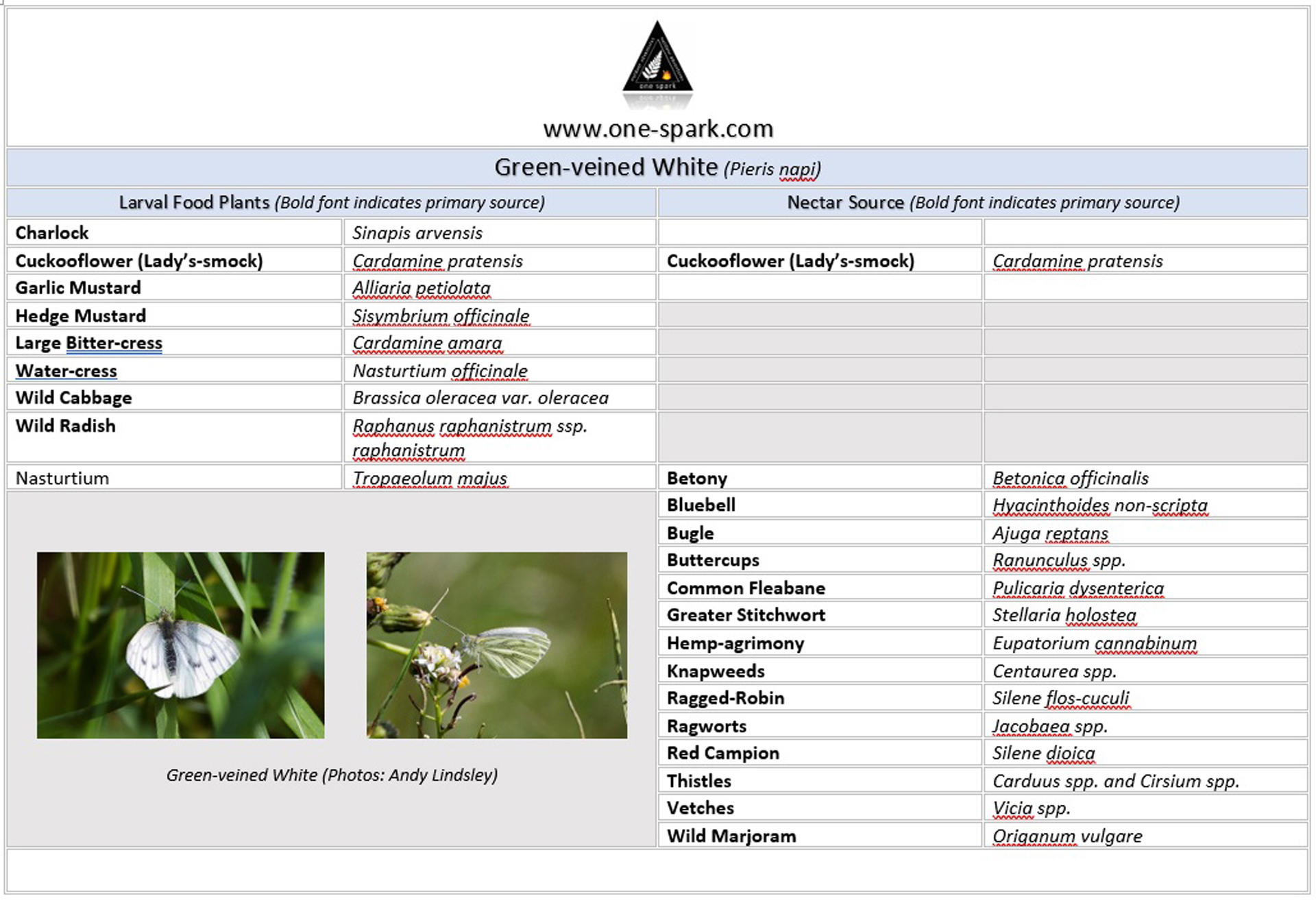 One-Spark-Green-veined White-Fact Sheet